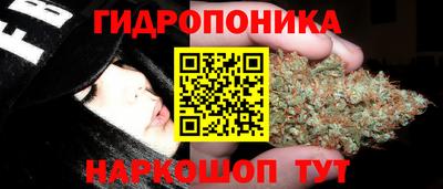 молекула духа Гай