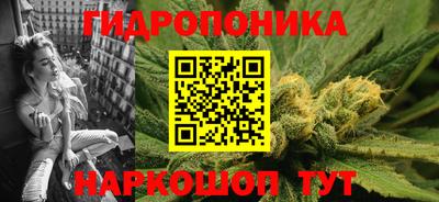 PSILOCYBIN Гатчина