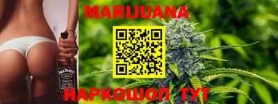 PSILOCYBIN Гатчина